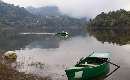 PRESA DE NECAXA