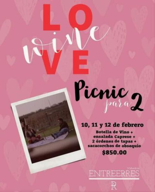 Disfruta de un pícnic con tu pareja en un viñedo de Puebla