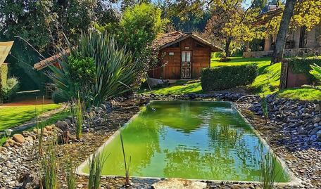 Cuánto cuesta hacer glamping en Xic Xanac, las cabañas ecológicas de Zacatlán de las Manzanas