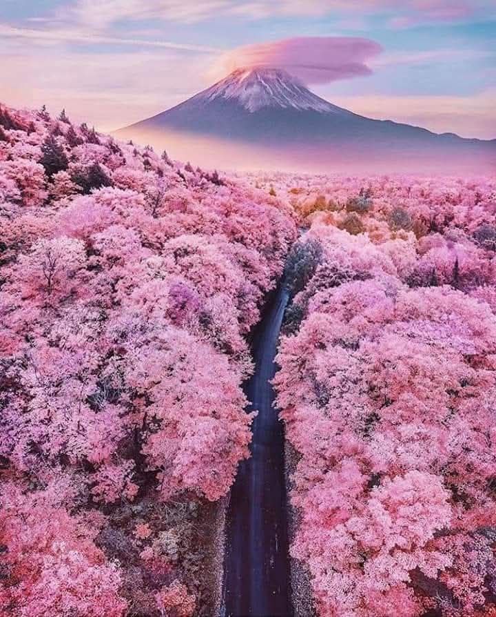 Foto: Facebook Maravillas del Mundo