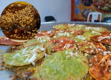 Celebra la noche mexicana con estos platillos tradicionales