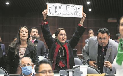 Tras 40 horas de debate, PEF se mantiene intacto