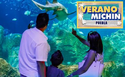 Acuario Michin: aprovecha las promociones para las vacaciones de verano