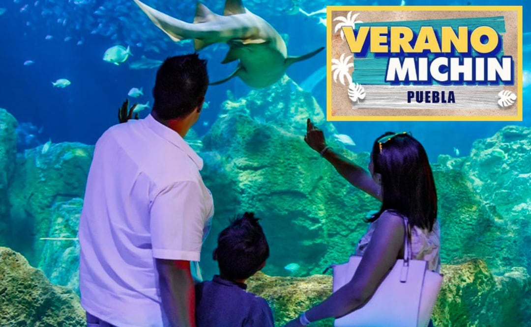 El Acuario Michin es uno de los principales atractivos turísticos en Puebla | Foto: Acuario Michin Puebla / Especial