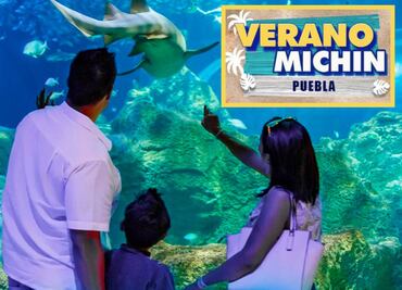 Acuario Michin: aprovecha las promociones para las vacaciones de verano