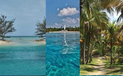 Isla de lobos: Cómo llegar y cuánto cuesta el viaje de Puebla a Veracruz