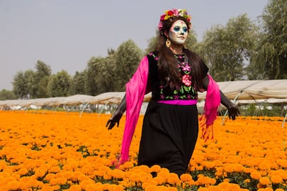 Esta es la hermosa leyenda de la flor de Cempasúchil, conócela