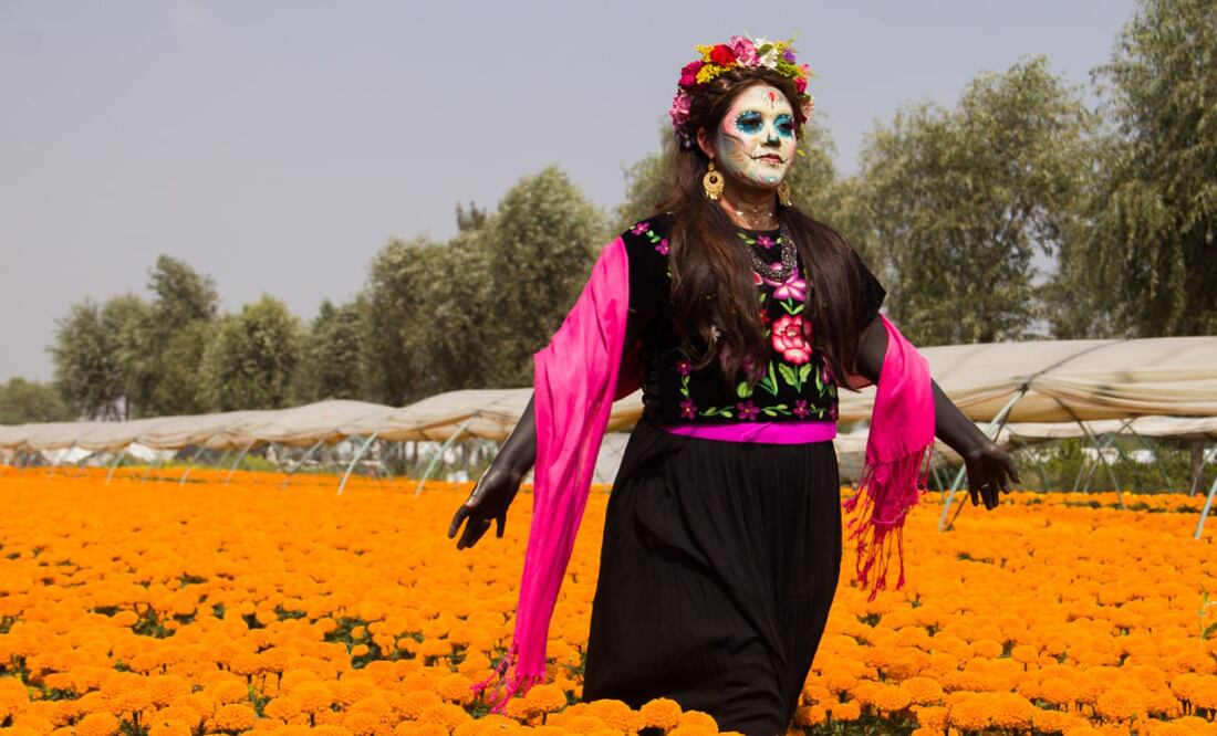 Puebla es el principal productor a nivel nacional de Cempasúchil | Foto: Agencia Es Imagen para El Universal Puebla