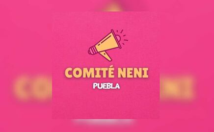 Crean en Puebla el “comité neni” para defender sus derechos
