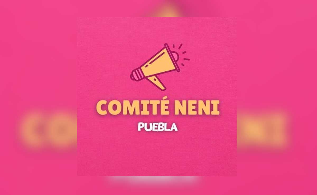 Crean en Puebla el “comité neni”  para defender sus derechos