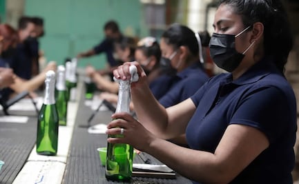 Cómo se hace la sidra, la bebida alcohólica de manzana producida en Huejotzingo y Zacatlán