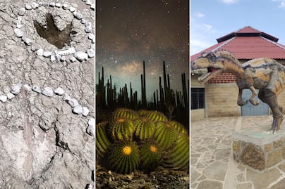 Descubre el desierto de Puebla donde aún puedes ver huellas de dinosaurios reales