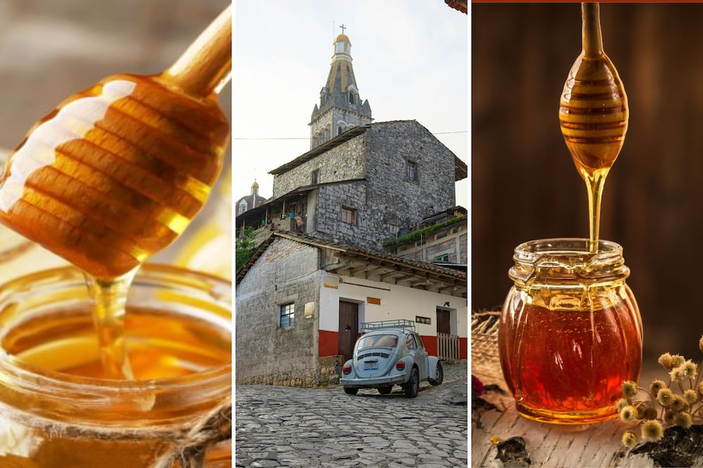 En la Sierra de Puebla se produce deliciosa miel | Foto: Gobierno de México / Pexels