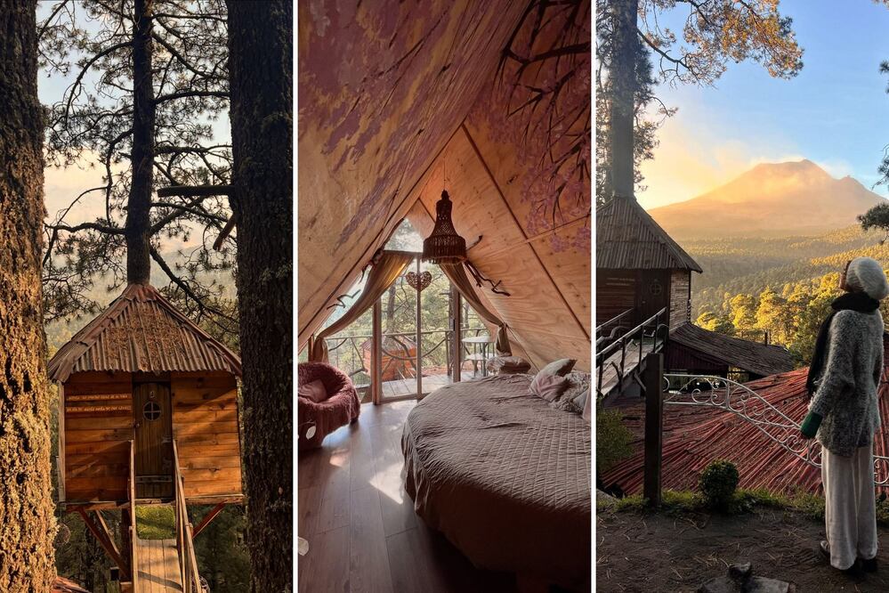 En Puebla puedes hospedarte en una casita del árbol lujosa, en medio del bosque | Foto: Aldea Pachamama