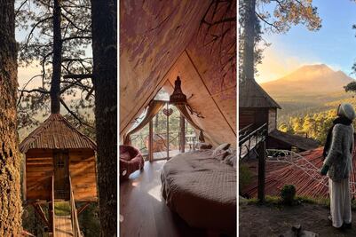 Así son las casitas del árbol más lujosas con increíbles vistas al volcán Popocatépetl