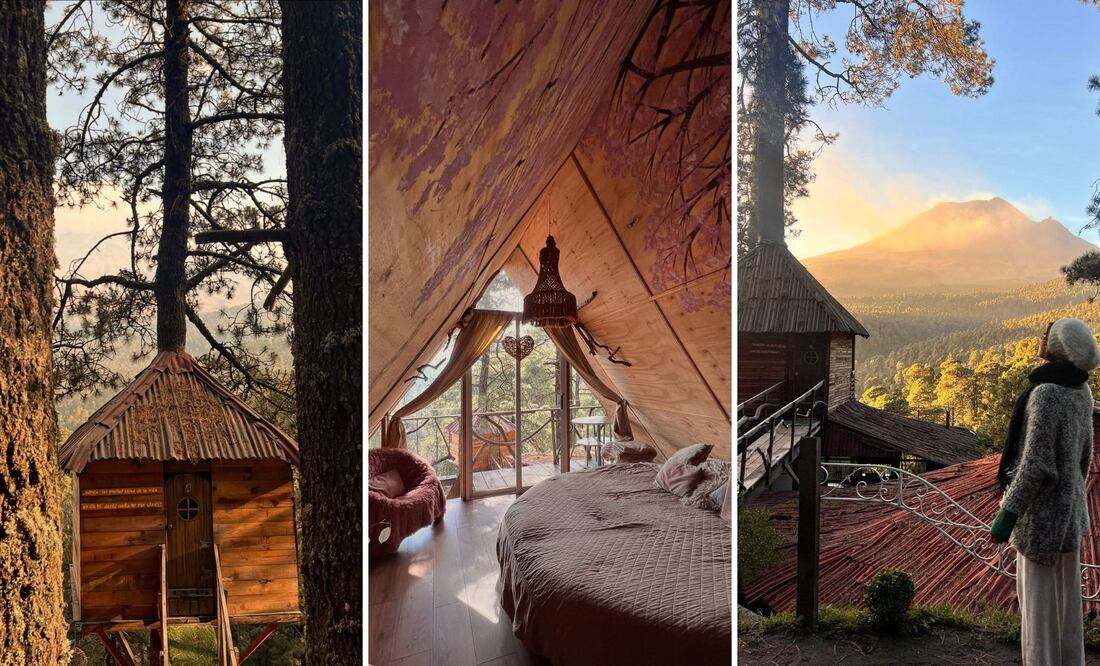 En Puebla puedes hospedarte en una casita del árbol lujosa, en medio del bosque | Foto: Aldea Pachamama
