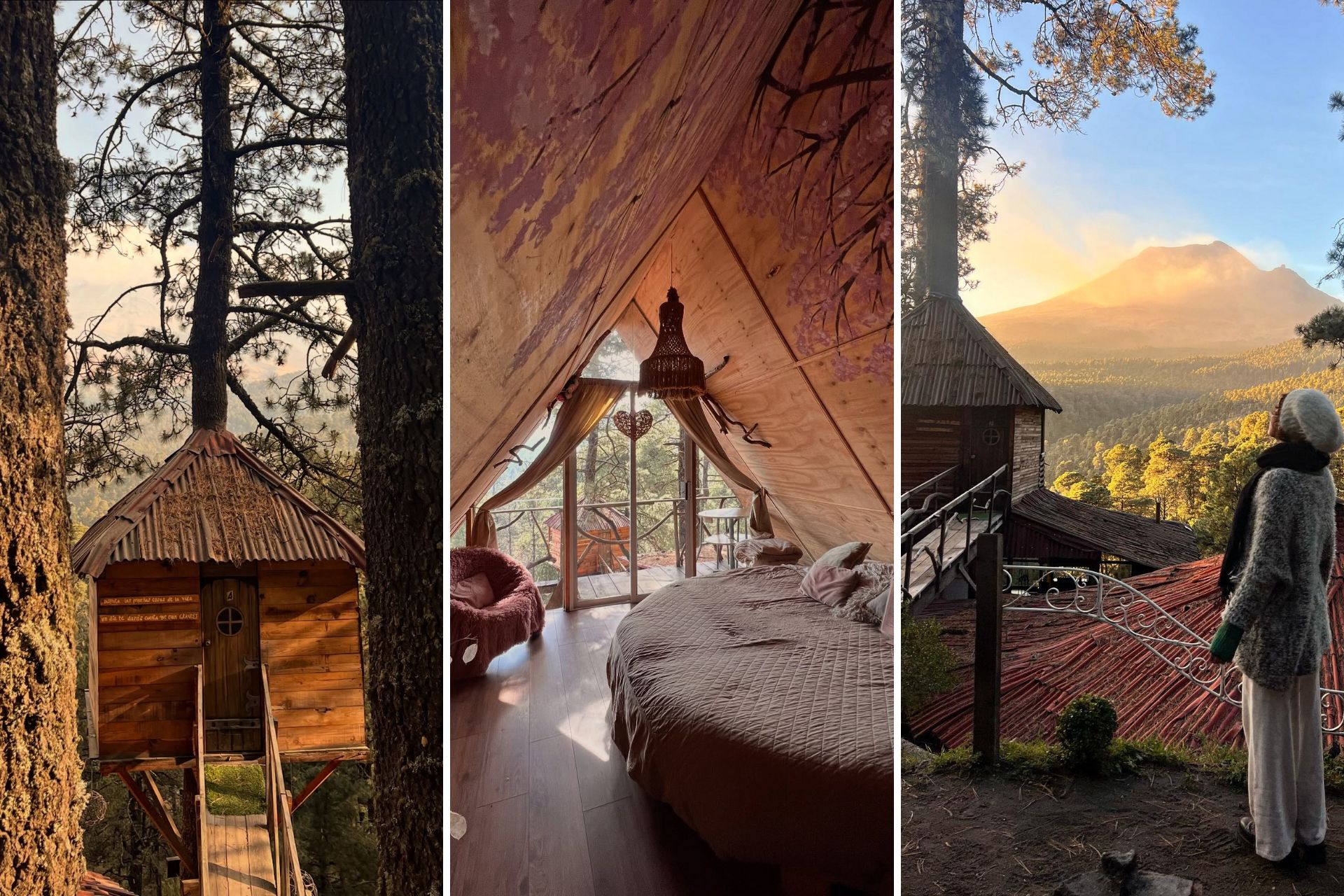 Así son las casitas del árbol más lujosas con increíbles vistas al volcán Popocatépetl