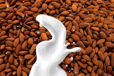 La leche de almendras no existe, aclara la Revista del Consumidor