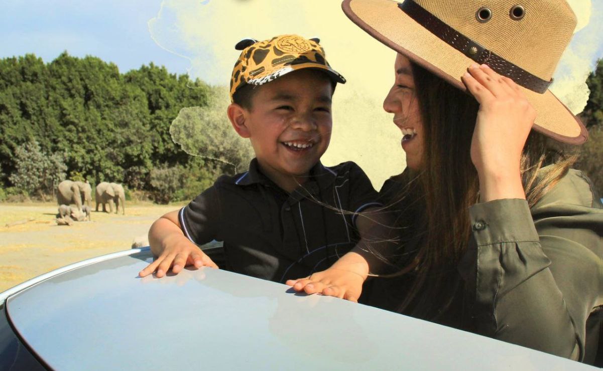 ¿Cómo ir vestido al Africam Safari de Puebla?