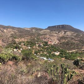 FOTOS. Caltepec, un paraíso perdido en Puebla para los amantes del senderismo