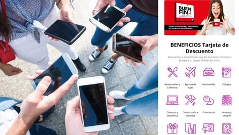 ¿Qué contiene la App Buen Fin 2024?