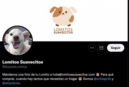 Marcelo Ebrard y las cuentas de Twitter más tiernas y raras que sigue