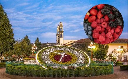 Estos son dos Pueblos Mágicos de Puebla para disfrutar de la temporada de berries