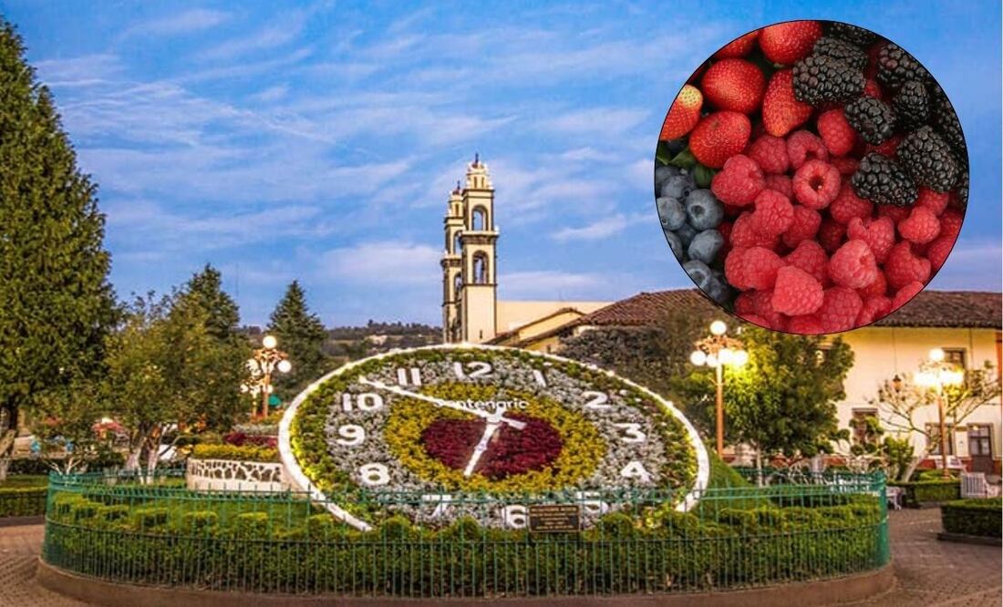 En los Pueblos Mágicos de Puebla puedes disfrutar de las berries | Foto: Programa Destinos México / EsImagen