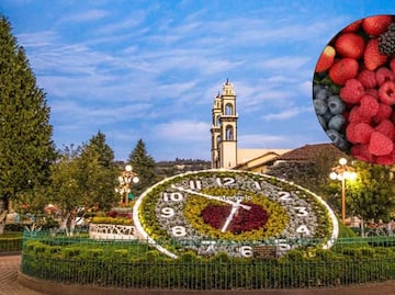 Estos son dos Pueblos Mágicos de Puebla para disfrutar de la temporada de berries