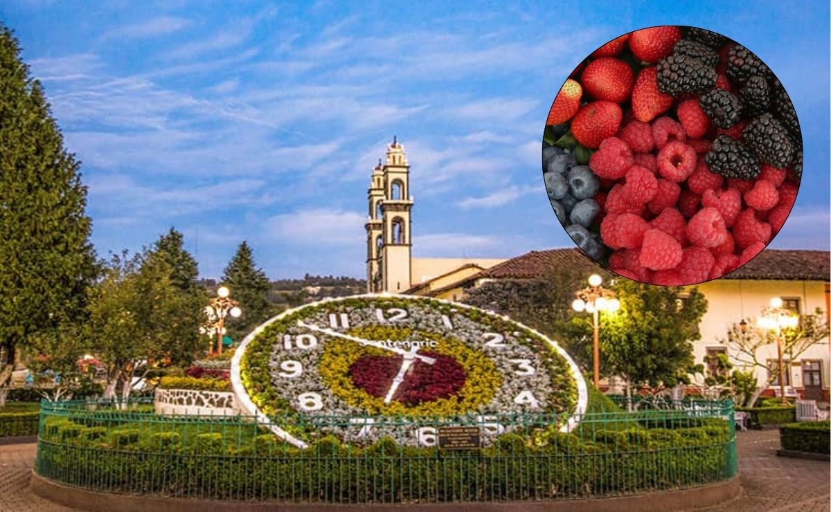 Estos son dos Pueblos Mágicos de Puebla para disfrutar de la temporada de berries