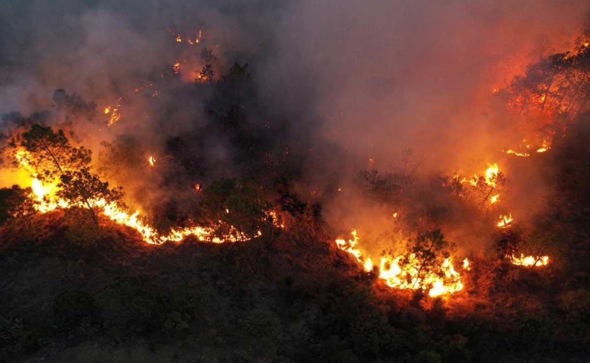 De este tamaño es el daño ambiental causado por los incendios forestales en Puebla