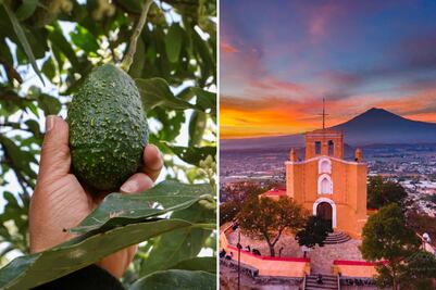Este Pueblo Mágico de Puebla es reconocido a nivel mundial por su aguacate