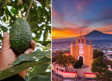Este Pueblo Mágico de Puebla es reconocido a nivel mundial por su aguacate