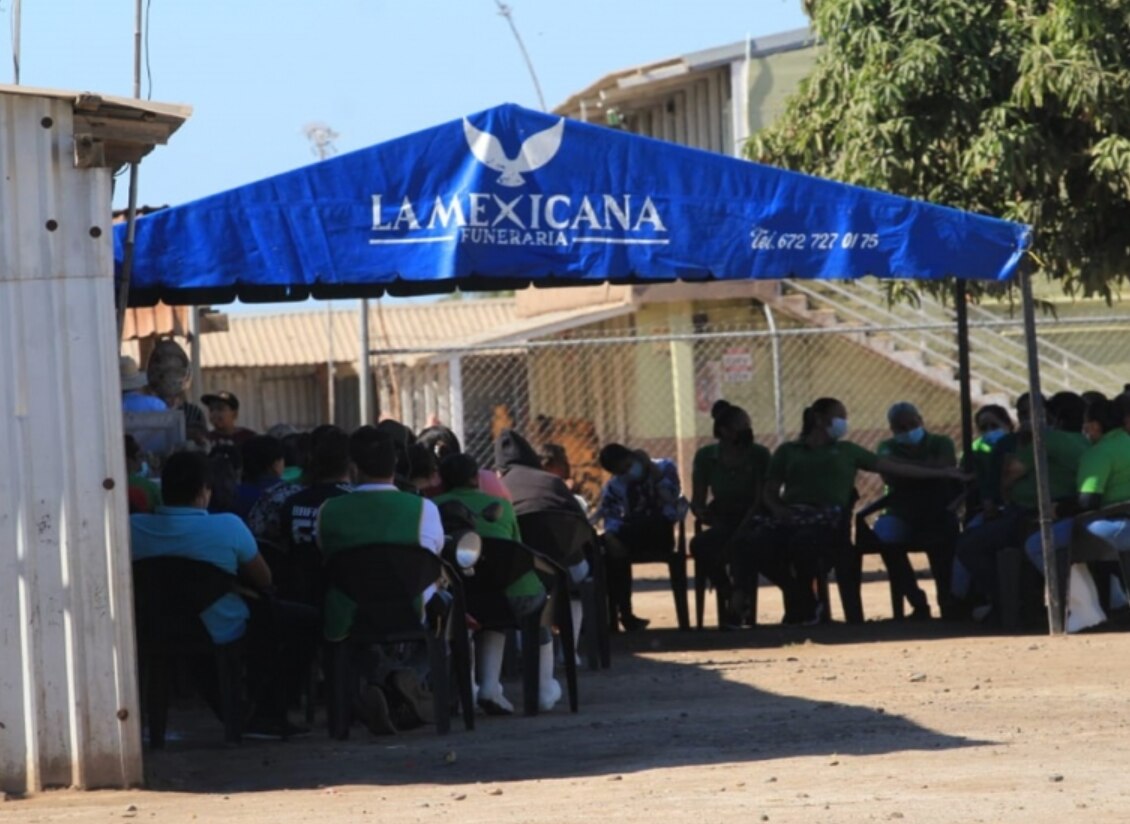 Velan en Sinaloa a menor de 6 años asesinada; trabajador agrícola la atacó con un machete