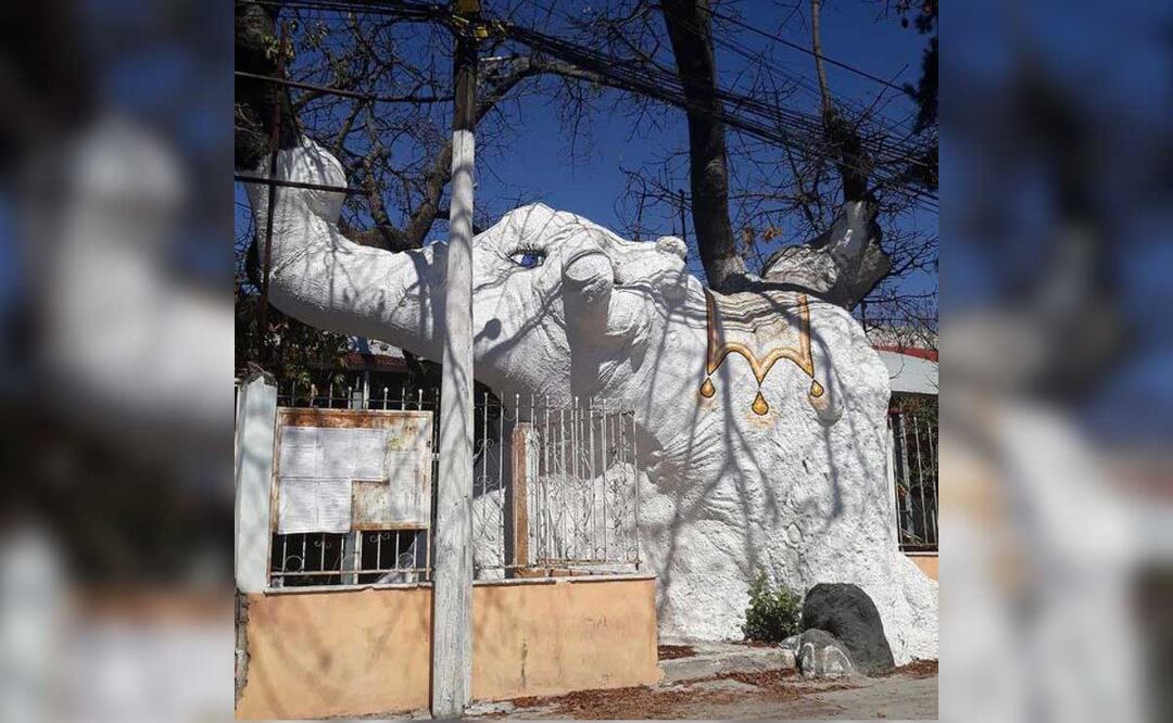 Este árbol en forma de elefante se encuentra en Izúcar de Matamoros | Instagram josejuarez8354