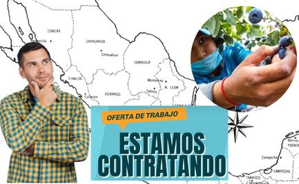 Solicitan poblanos para trabajar en Sinaloa y Jalisco ¿Te animarías? Requisitos y sueldo