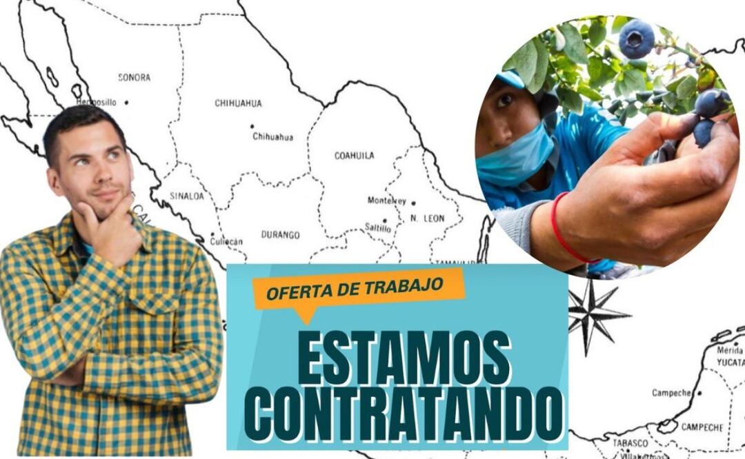 Hay ofertas de trabajo en Sinaloa y Jalisco I Foto: Especial