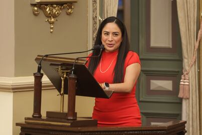 ¿Quién es la diputada del PRI a la que suplía Tania N?