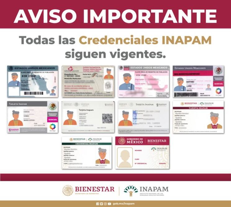 Credenciales del Inapam / Foto Redes Sociales Inapam