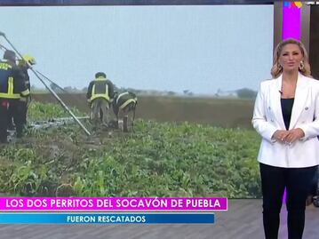 Spike y Spay roban reflectores en TV nacional