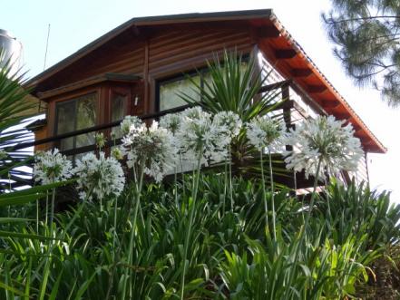 Lugares cerca de CDMX. Cabañas en Puebla para un fin de semana