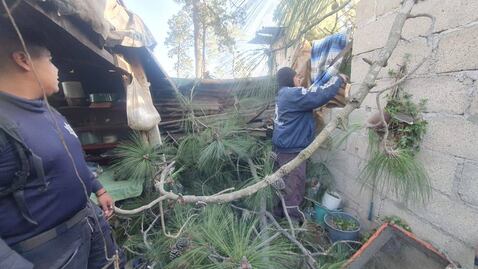 Vientos en Puebla provocan caída de árboles y daños materiales