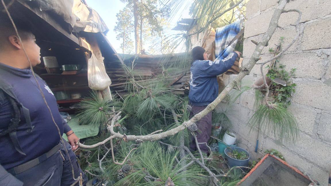 Vientos en Puebla provocan caída de árboles y daños materiales