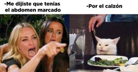 Día Mundial del Gato 2022. No le busques tres memes al gato, sabiendo que tiene cuatro