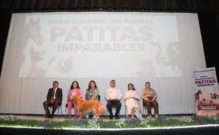 Por el bienestar animal el Gobierno de la Ciudad realizó el foro participativo "Patitas Imparables"