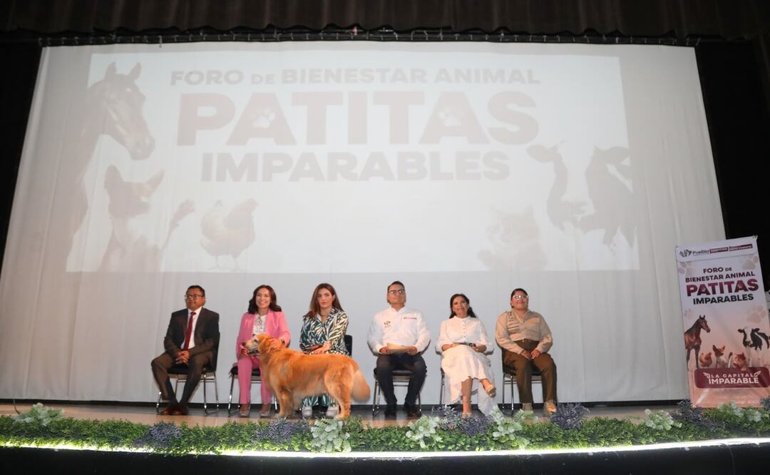 Al momento se han realizado 47 jornadas de esterilización canina y felina | Foto: Ayuntamiento de Puebla
