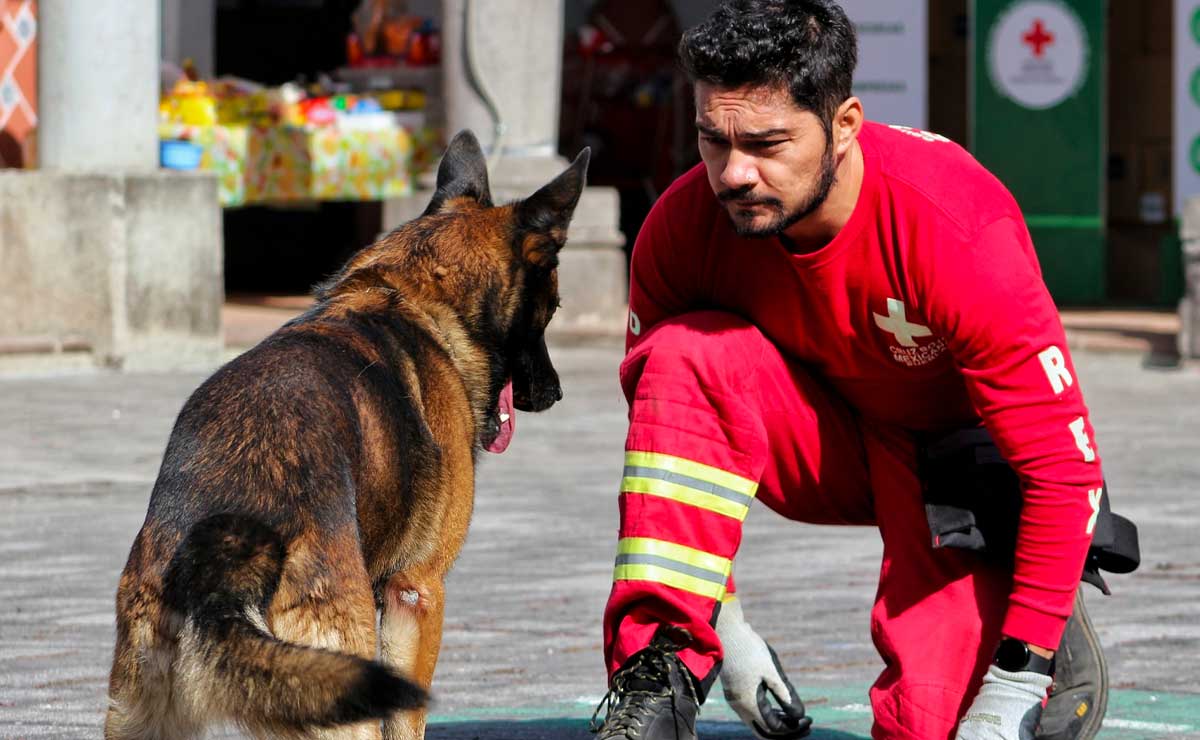 Los rescatistas mexicanos viajan a Turquía para sumarse a los trabajos de ayuda humanitaria tras la serie de sismos | Foto: Cruz Roja