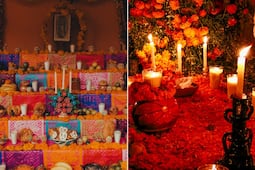 ¿Cuáles son los 7 elementos de un altar de muertos?