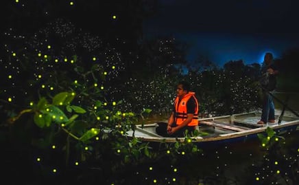 Festival de las Luciérnagas. Cuándo empieza el avistamiento en lanchas de la Presa La Soledad