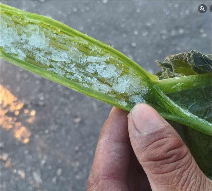 Fotos Redes Sociales